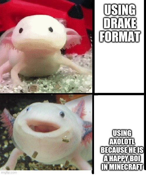 Axolotl |  USING DRAKE FORMAT; USING AXOLOTL BECAUSE HE IS A HAPPY BOI IN MINECRAFT | image tagged in axolotl | made w/ Imgflip meme maker