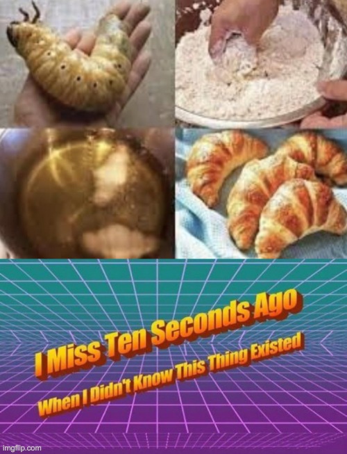 ಠ_ಠ | image tagged in i miss ten seconds ago,bug,croissant,not funny | made w/ Imgflip meme maker