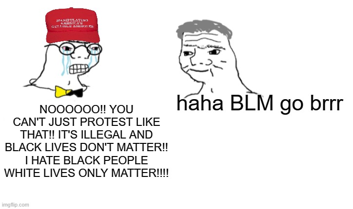 no haha go brrrr | NOOOOOO!! YOU CAN'T JUST PROTEST LIKE THAT!! IT'S ILLEGAL AND BLACK LIVES DON'T MATTER!! I HATE BLACK PEOPLE WHITE LIVES ONLY MATTER!!!! haha BLM go brrr | image tagged in nooo haha go brrr,haha money printer go brrr,funny,memes,blm,black lives matter | made w/ Imgflip meme maker