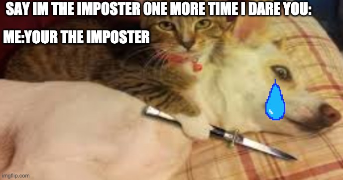 ME:YOUR THE IMPOSTER; SAY IM THE IMPOSTER ONE MORE TIME I DARE YOU: | image tagged in funny | made w/ Imgflip meme maker