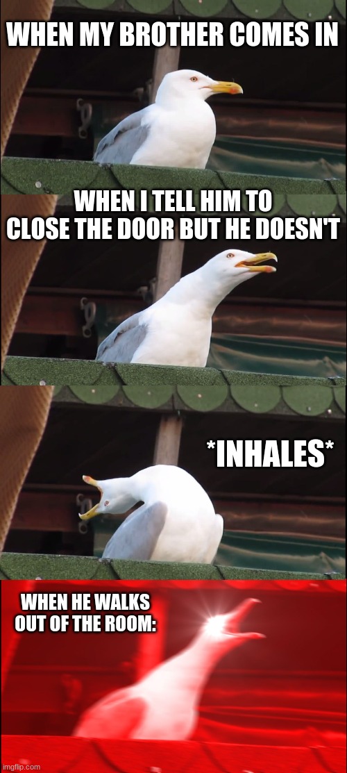 Inhaling Seagull Meme | WHEN MY BROTHER COMES IN; WHEN I TELL HIM TO CLOSE THE DOOR BUT HE DOESN'T; *INHALES*; WHEN HE WALKS OUT OF THE ROOM: | image tagged in memes,inhaling seagull | made w/ Imgflip meme maker