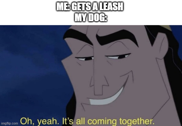 oh yeah It's all coming together | ME: GETS A LEASH 
MY DOG: | image tagged in it's all coming together | made w/ Imgflip meme maker