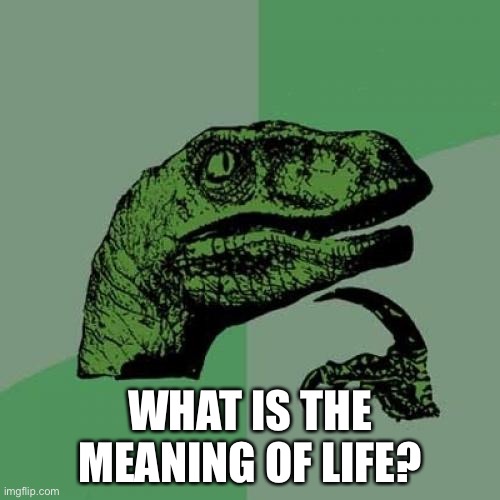 Trying to make this stream normal again | WHAT IS THE MEANING OF LIFE? | image tagged in memes,philosoraptor | made w/ Imgflip meme maker