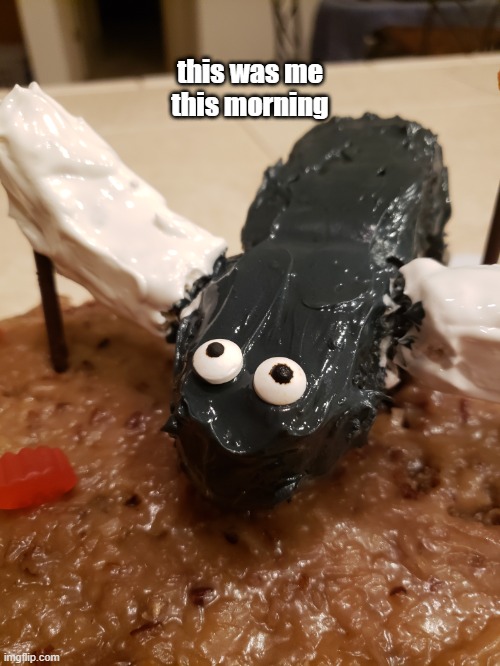 me in the morning | this was me this morning | image tagged in funny memes | made w/ Imgflip meme maker