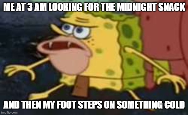 Spongegar | ME AT 3 AM LOOKING FOR THE MIDNIGHT SNACK; AND THEN MY FOOT STEPS ON SOMETHING COLD | image tagged in memes,spongegar | made w/ Imgflip meme maker