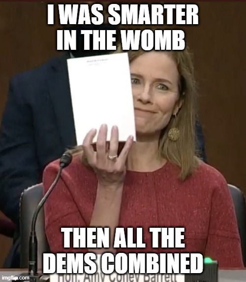 Amy Coney Barrett | I WAS SMARTER IN THE WOMB; THEN ALL THE DEMS COMBINED | image tagged in amy coney barrett | made w/ Imgflip meme maker