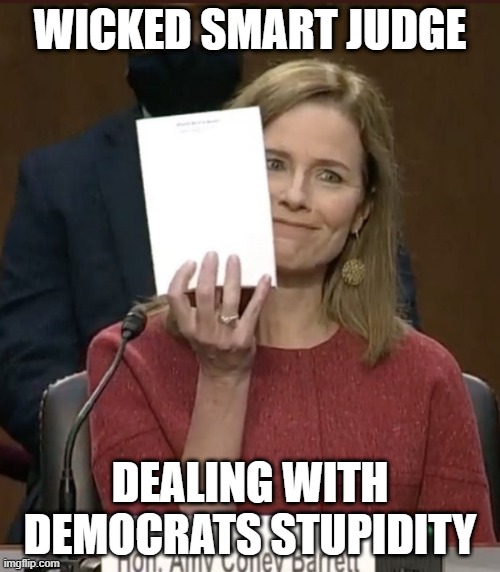 Amy Coney Barrett | WICKED SMART JUDGE; DEALING WITH DEMOCRATS STUPIDITY | image tagged in amy coney barrett | made w/ Imgflip meme maker