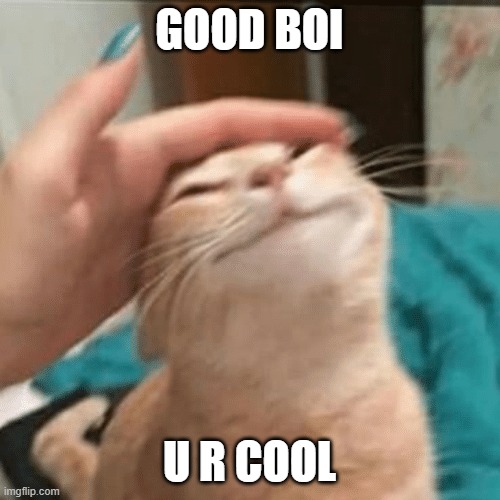 Pet the cat | GOOD BOI U R COOL | image tagged in pet the cat | made w/ Imgflip meme maker