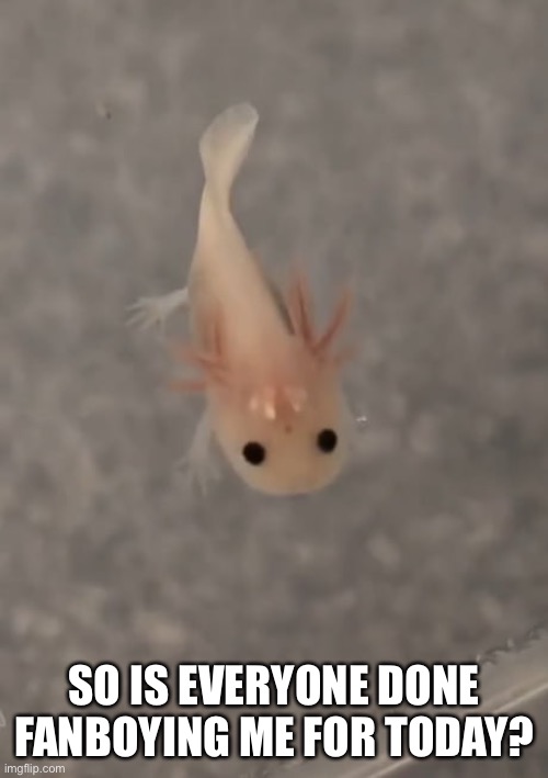 SO IS EVERYONE DONE FANBOYING ME FOR TODAY? | made w/ Imgflip meme maker