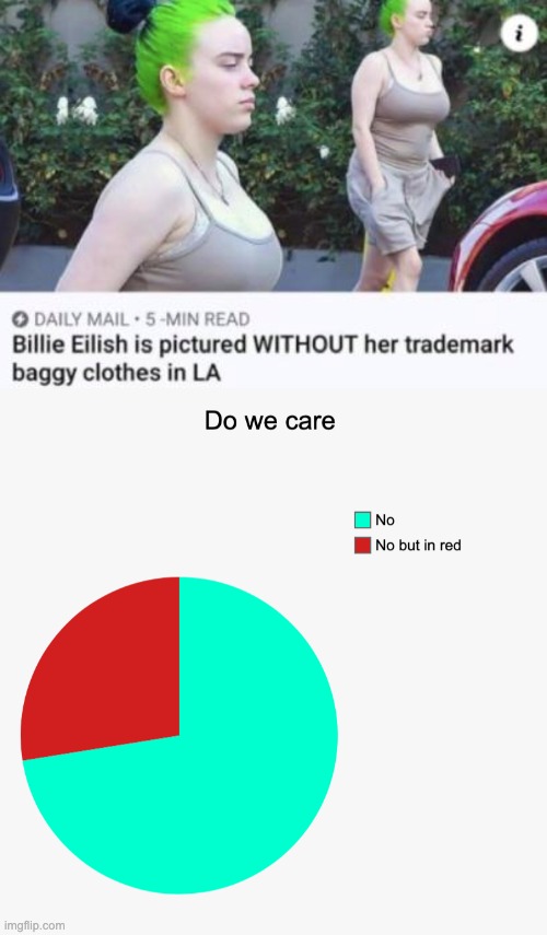 Should I come back to imgflip? | image tagged in piecharts,billie eilish | made w/ Imgflip meme maker