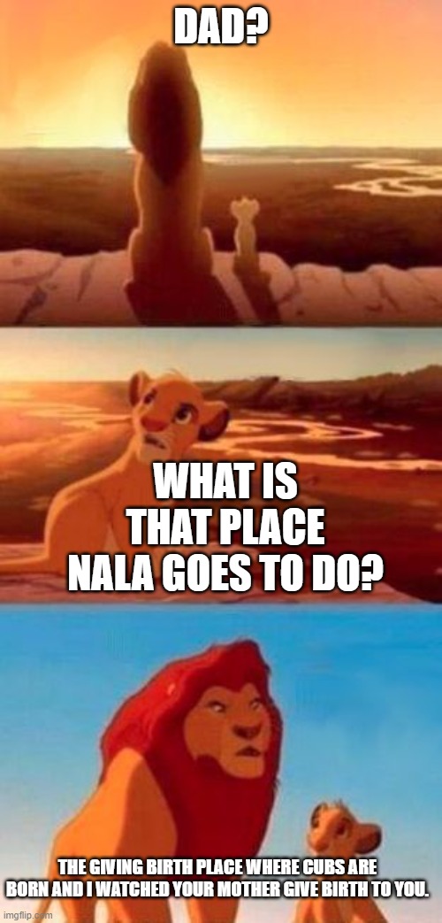 funny | DAD? WHAT IS THAT PLACE NALA GOES TO DO? THE GIVING BIRTH PLACE WHERE CUBS ARE BORN AND I WATCHED YOUR MOTHER GIVE BIRTH TO YOU. | image tagged in simba | made w/ Imgflip meme maker