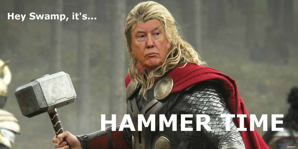 Hey Swamp, it's HAMMER TIME! | image tagged in drain the swamp,drain the swamp trump,hammer time,sledge hammer | made w/ Imgflip meme maker