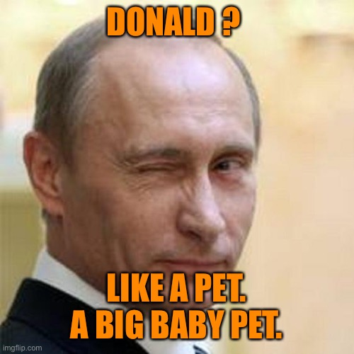 Putin Winking | DONALD ? LIKE A PET. A BIG BABY PET. | image tagged in putin winking | made w/ Imgflip meme maker