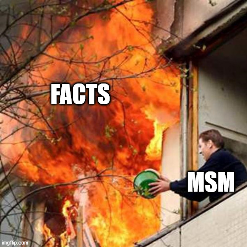 Putting Out Fires | FACTS MSM | image tagged in putting out fires | made w/ Imgflip meme maker