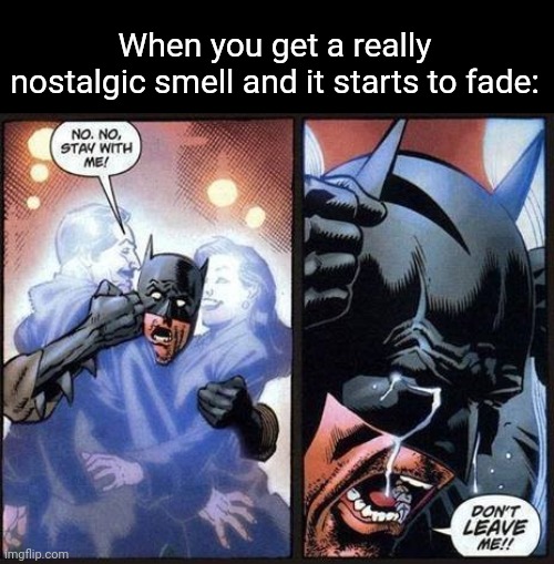RIP. | When you get a really nostalgic smell and it starts to fade: | image tagged in batman don't leave me | made w/ Imgflip meme maker