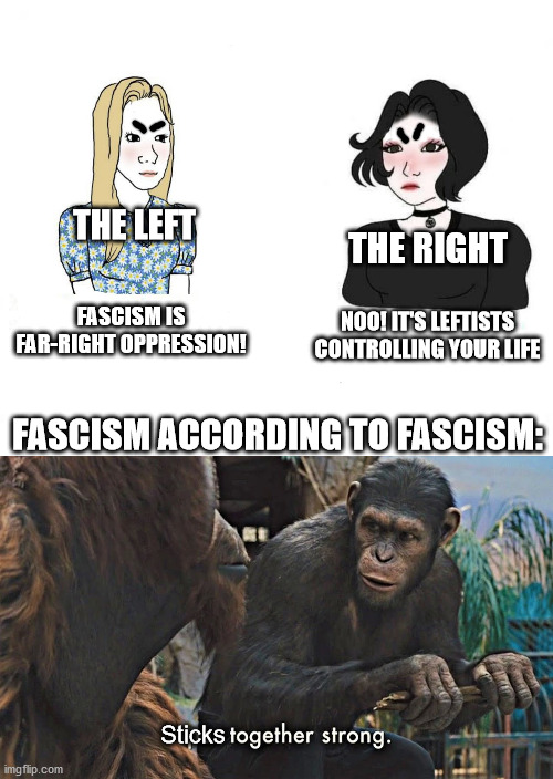 Sticks together strong. | THE LEFT; THE RIGHT; NOO! IT'S LEFTISTS CONTROLLING YOUR LIFE; FASCISM IS FAR-RIGHT OPPRESSION! FASCISM ACCORDING TO FASCISM:; Sticks | image tagged in girls vs boys | made w/ Imgflip meme maker