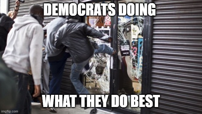 Democrat looters | DEMOCRATS DOING; WHAT THEY DO BEST | image tagged in looters | made w/ Imgflip meme maker