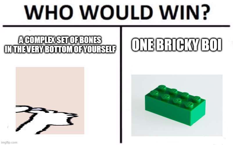 Who Would Win? | A COMPLEX SET OF BONES IN THE VERY BOTTOM OF YOURSELF; ONE BRICKY BOI | image tagged in memes,who would win | made w/ Imgflip meme maker