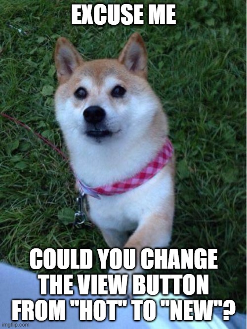 I know we can change it ourselves, But... I'm too lazy, Please? | EXCUSE ME; COULD YOU CHANGE THE VIEW BUTTON FROM "HOT" TO "NEW"? | image tagged in excuse me sir do you have a minute to hear about wow | made w/ Imgflip meme maker