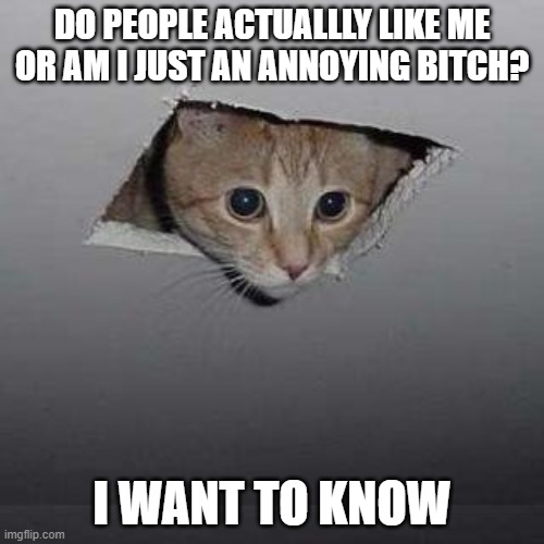 Ceiling Cat | DO PEOPLE ACTUALLLY LIKE ME OR AM I JUST AN ANNOYING BITCH? I WANT TO KNOW | image tagged in memes,ceiling cat | made w/ Imgflip meme maker