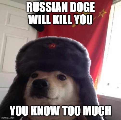 Russian Doge | RUSSIAN DOGE WILL KILL YOU YOU KNOW TOO MUCH | image tagged in russian doge | made w/ Imgflip meme maker