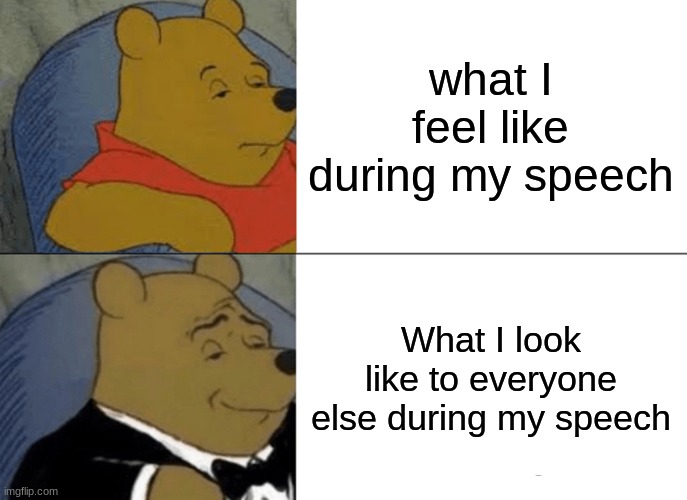 When doing a speech.... | what I feel like during my speech; What I look like to everyone else during my speech | image tagged in memes,tuxedo winnie the pooh | made w/ Imgflip meme maker