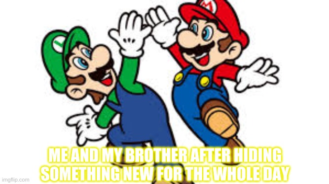 Y A A H O O | ME AND MY BROTHER AFTER HIDING SOMETHING NEW FOR THE WHOLE DAY | image tagged in mario bros high five | made w/ Imgflip meme maker