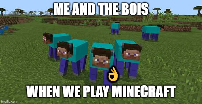 me and the boys |  ME AND THE BOIS; 👌; WHEN WE PLAY MINECRAFT | image tagged in me and the boys | made w/ Imgflip meme maker
