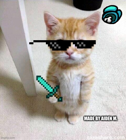 so.... ima leave this here | MADE BY AIDEN M. | image tagged in memes,cute cat | made w/ Imgflip meme maker