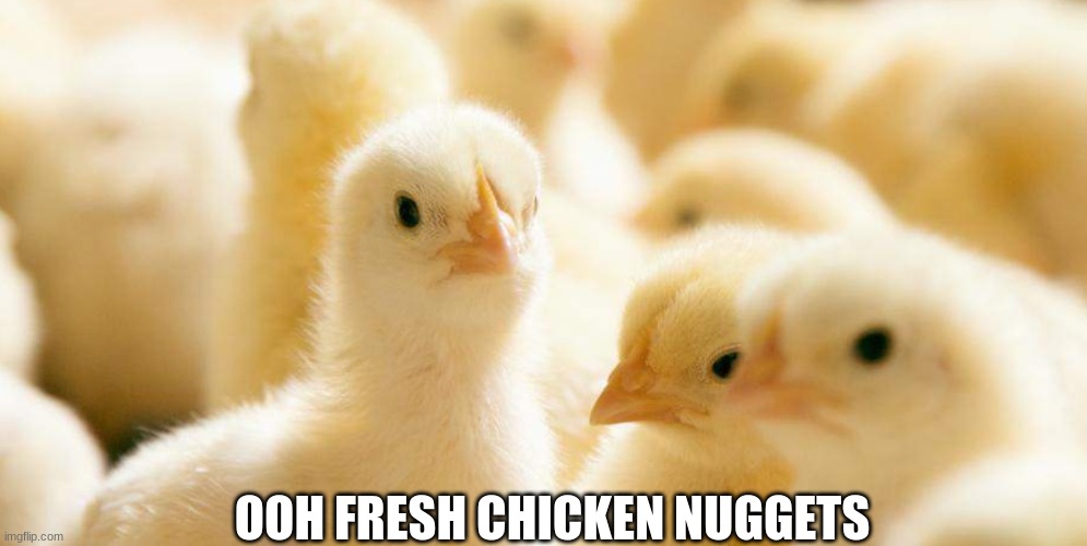 this is bad.. | OOH FRESH CHICKEN NUGGETS | image tagged in chicken nuggets | made w/ Imgflip meme maker