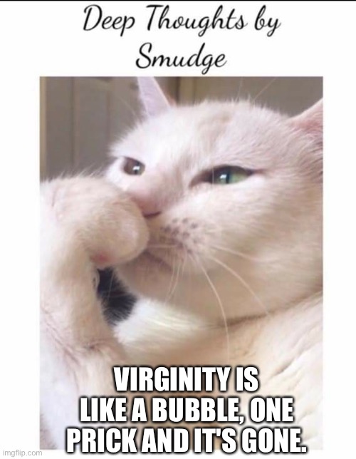 Deep thoughts | VIRGINITY IS LIKE A BUBBLE, ONE PRICK AND IT'S GONE. | image tagged in smudge | made w/ Imgflip meme maker