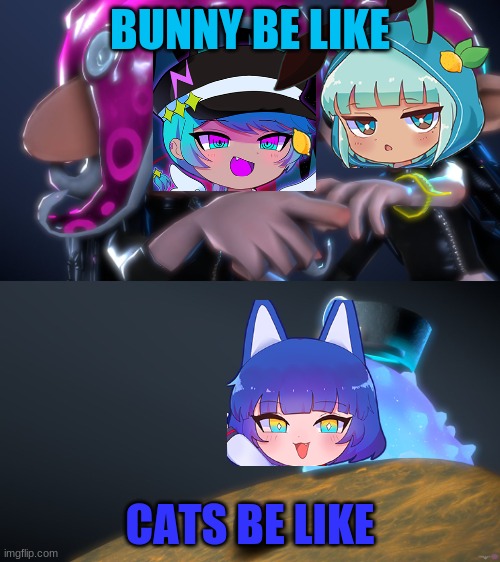 agent 8 | BUNNY BE LIKE; CATS BE LIKE | image tagged in agent 8,cats,i love cats | made w/ Imgflip meme maker