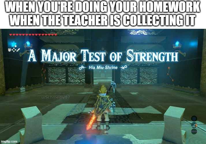Gotta go fast | WHEN YOU'RE DOING YOUR HOMEWORK WHEN THE TEACHER IS COLLECTING IT | image tagged in memes,legend of zelda | made w/ Imgflip meme maker