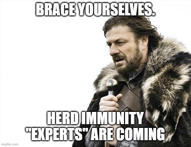 Herd Immunity | BRACE YOURSELVES. HERD IMMUNITY "EXPERTS" ARE COMING | image tagged in memes,brace yourselves x is coming | made w/ Imgflip meme maker