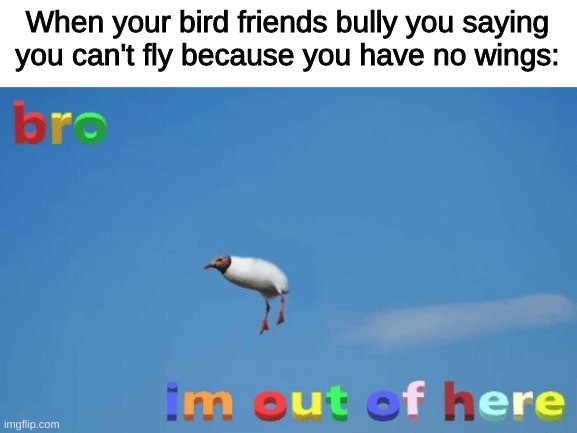 bro im out of here | When your bird friends bully you saying you can't fly because you have no wings: | image tagged in bro im out of here | made w/ Imgflip meme maker