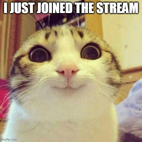 Smiling Cat |  I JUST JOINED THE STREAM | image tagged in memes,smiling cat | made w/ Imgflip meme maker