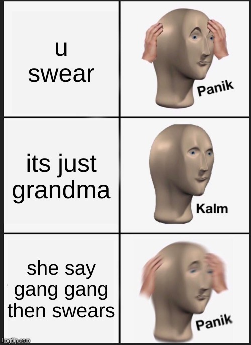 Panik Kalm Panik Meme | u swear; its just grandma; she say gang gang then swears | image tagged in memes,panik kalm panik | made w/ Imgflip meme maker