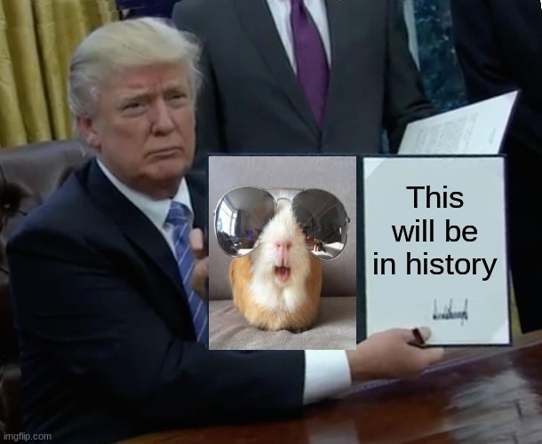 guinea pig funny | This will be in history | image tagged in memes,trump bill signing | made w/ Imgflip meme maker