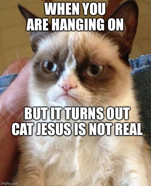 Grumpy Cat | WHEN YOU ARE HANGING ON; BUT IT TURNS OUT CAT JESUS IS NOT REAL | image tagged in memes,grumpy cat | made w/ Imgflip meme maker