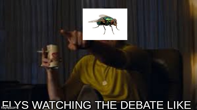 Fly | FLYS WATCHING THE DEBATE LIKE | image tagged in funny memes | made w/ Imgflip meme maker