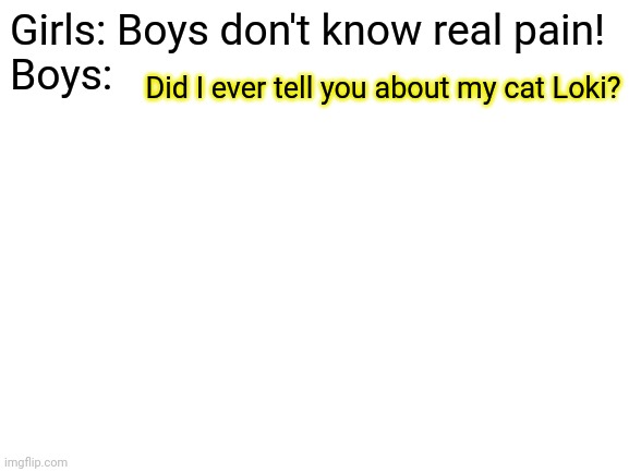 Crying just thinking about it- | Girls: Boys don't know real pain!
Boys:; Did I ever tell you about my cat Loki? | image tagged in blank white template | made w/ Imgflip meme maker