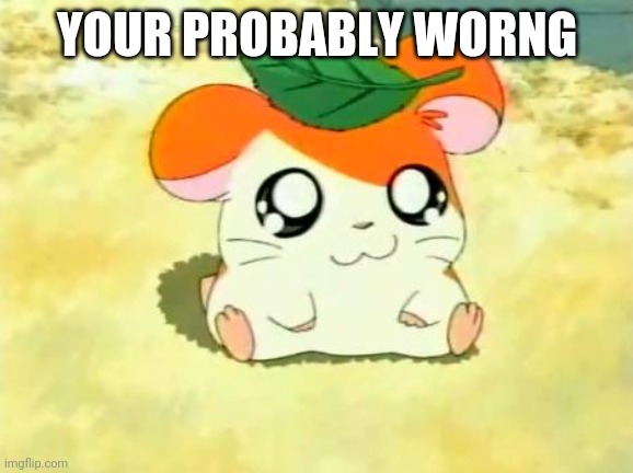 Hamtaro Meme | YOUR PROBABLY WORNG | image tagged in memes,hamtaro | made w/ Imgflip meme maker