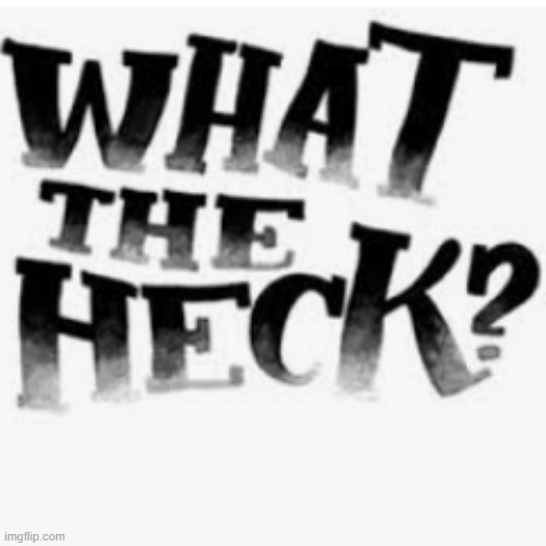 what the heck | image tagged in what the heck | made w/ Imgflip meme maker