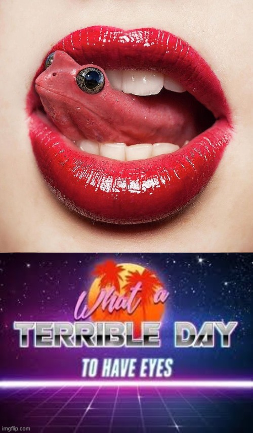 Is the tongue the frog, or the frog the tongue? | image tagged in what a terrible day to have eyes,disgusted,funny,fun,memes | made w/ Imgflip meme maker
