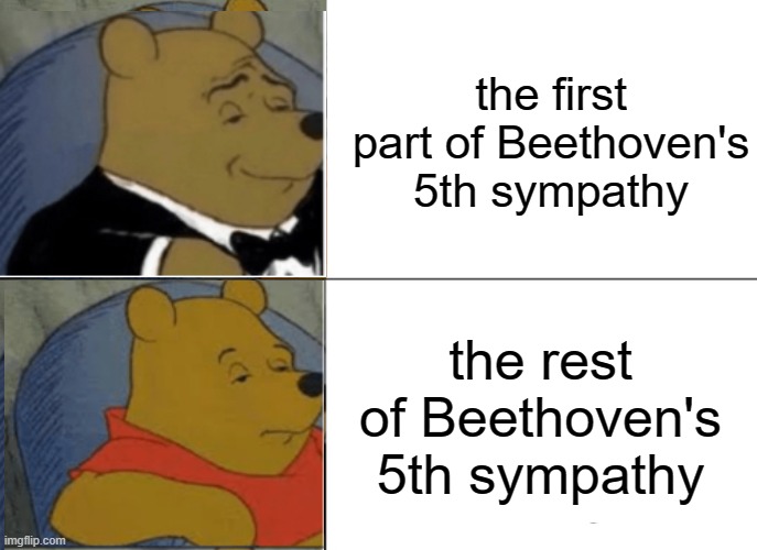 Tuxedo Winnie The Pooh Meme | the first part of Beethoven's 5th sympathy; the rest of Beethoven's 5th sympathy | image tagged in memes,tuxedo winnie the pooh | made w/ Imgflip meme maker