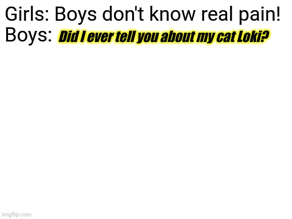 Blank White Template | Girls: Boys don't know real pain!
Boys:; Did I ever tell you about my cat Loki? | image tagged in blank white template | made w/ Imgflip meme maker