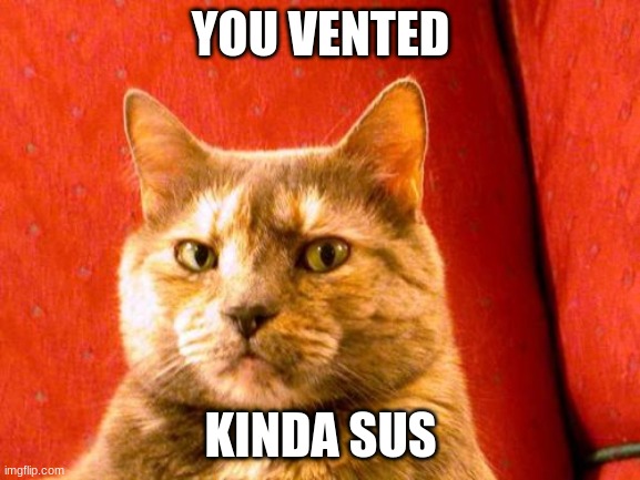cat thinks ur kinda sus | YOU VENTED; KINDA SUS | image tagged in memes,suspicious cat,among us,sus | made w/ Imgflip meme maker