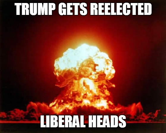 Nuclear Explosion | TRUMP GETS REELECTED; LIBERAL HEADS | image tagged in memes,nuclear explosion | made w/ Imgflip meme maker