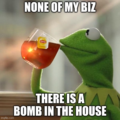 When you don't know whats going on | NONE OF MY BIZ; THERE IS A BOMB IN THE HOUSE | image tagged in memes,but that's none of my business,kermit the frog | made w/ Imgflip meme maker