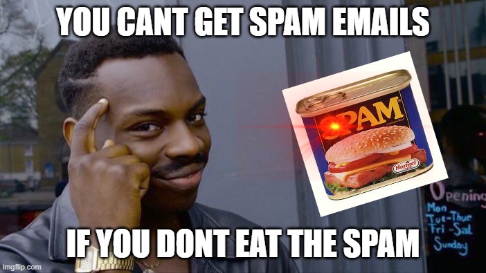 Roll Safe Think About It Meme | YOU CANT GET SPAM EMAILS; IF YOU DONT EAT THE SPAM | image tagged in memes,roll safe think about it | made w/ Imgflip meme maker